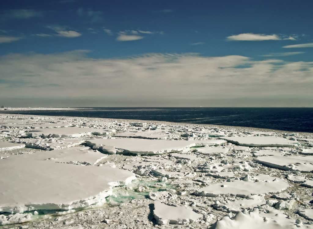 Edge of the frozen sea around Signy in the Antarctic