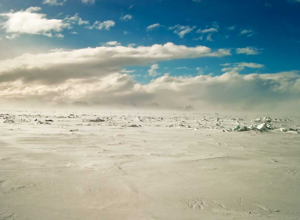 The frozen Ocean around Signy in the Antarctic