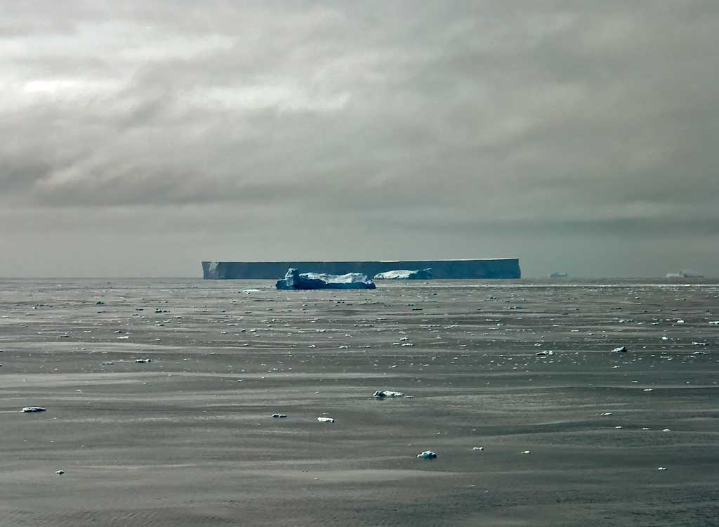 Seascape frozen at Signy in the Antarctic