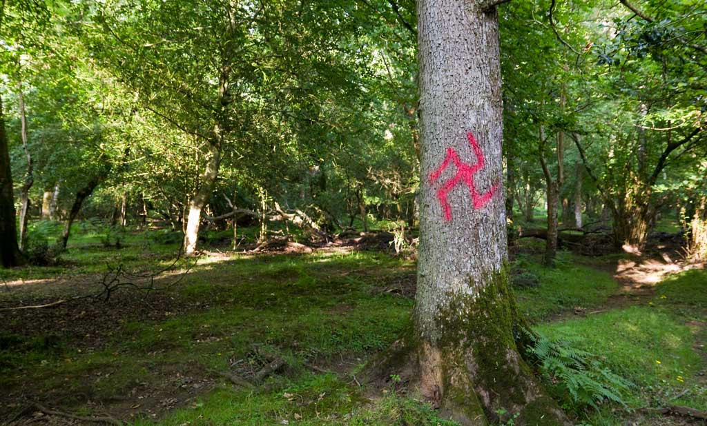 Swastika painted on a tree in the New Forest, Dorset