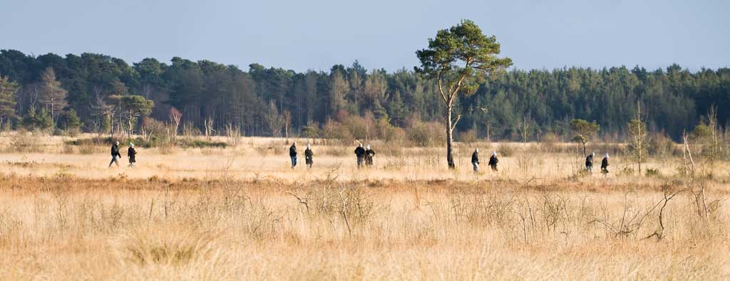 Peoplescape - ramblers walking in Thursley Nature Reserve, Surrey