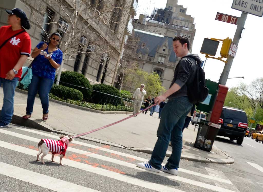 Street - man and his dog in New York